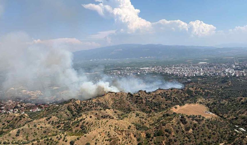 Nazilli’de Zeytinlik Alanda Yangın
