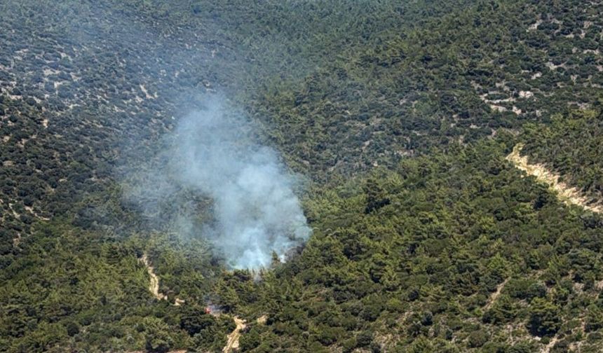 Milas Kazıklı Koyu’nda Makilik Alanda Yangın Çıktı