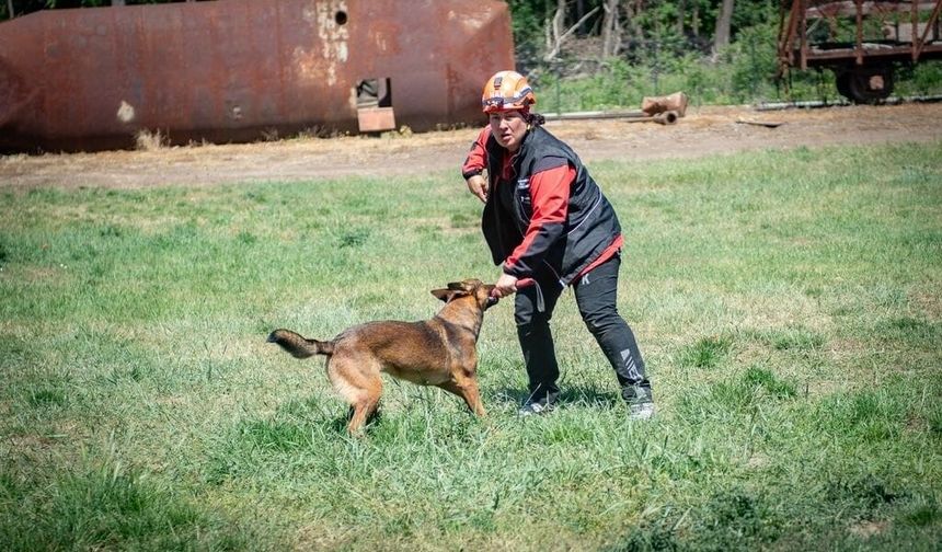 Muğla’nın Gururları Tayga ve Foxy Macaristan’da Tam Not Aldı