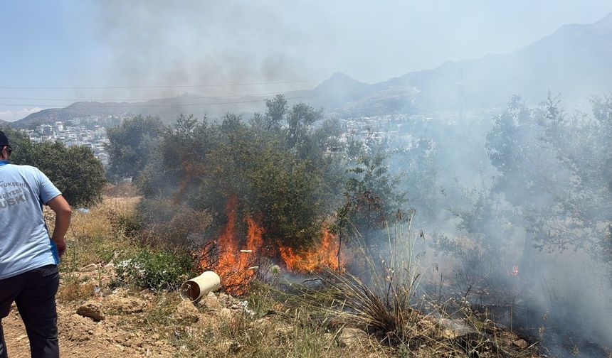 Bodrum’da çıkan yangın büyümeden söndürüldü