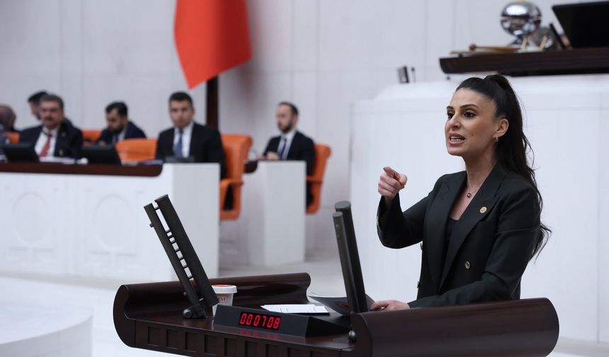 CHP’li Özcan, Fatoş Pınar Türker’in İfadesini Meclis’e Taşıdı