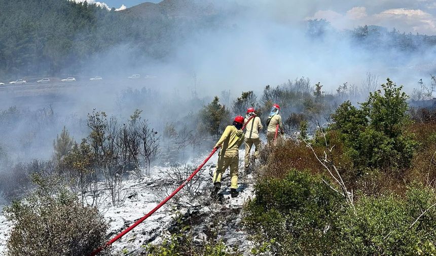 Muğla Valiliği’nden Orman Yangınlarına Karşı Uyarı