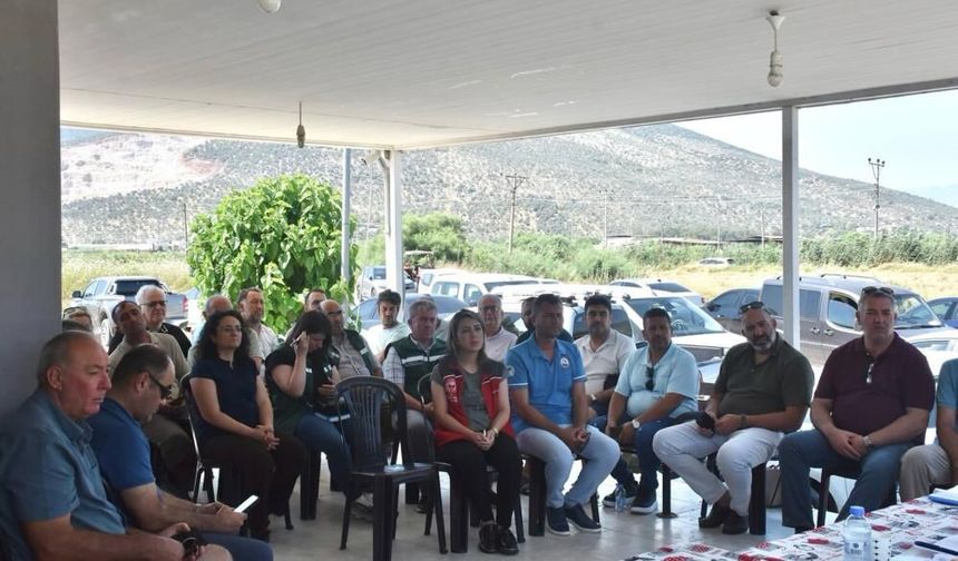 Milas’ta Tarla Balıkçılığı Masaya Yatırıldı