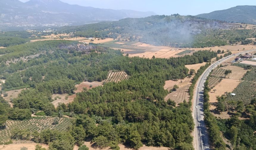 Seydikemer’deki yangın kontrol altına alındı
