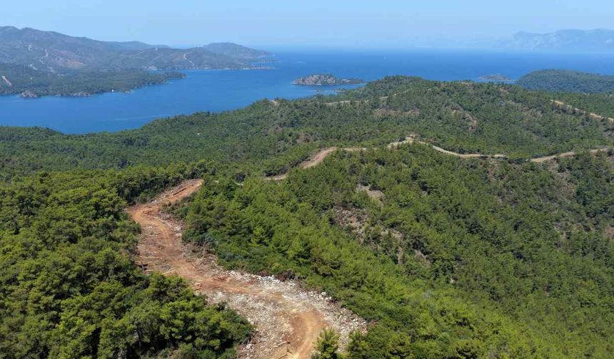 Muğla’da Yangın Emniyet Yolları Genişliyor