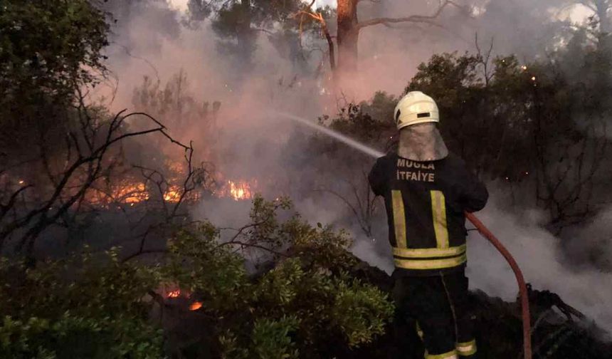 Büyükşehirden Anız Yangınlarına Karşı Hayati Uyarı
