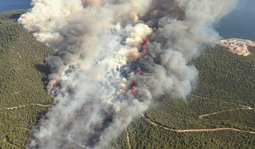 Milas’taki orman yangınına havadan ve karadan müdahale