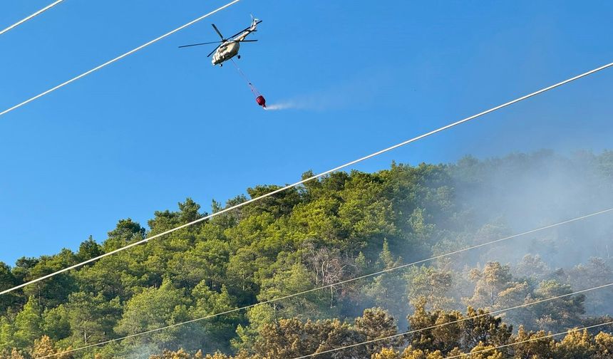 Ortaca’daki orman yangını kontrol altına alındı
