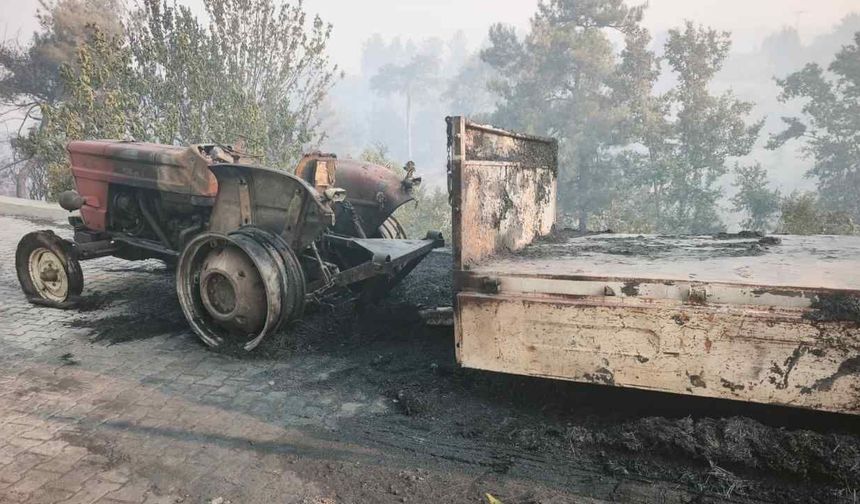 Seydikemer Yangınında Acı Tablo Gün Ağarınca Ortaya Çıktı