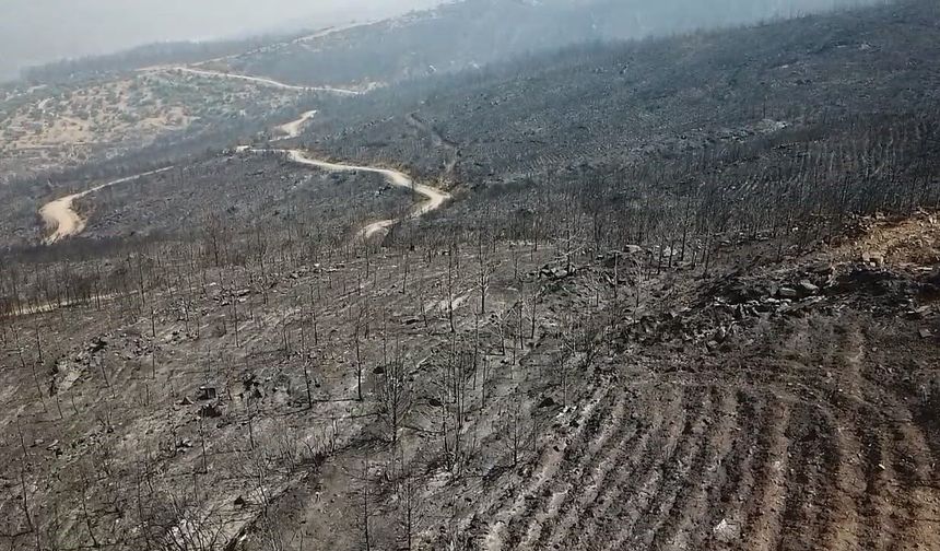 Seydikemer Yangınında Yeşil Alanlar Siyaha Büründü