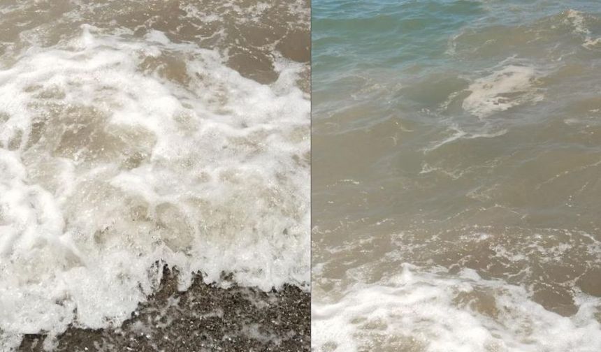 Bodrum’daki Deniz Kirliliğine Savcılık Soruşturması