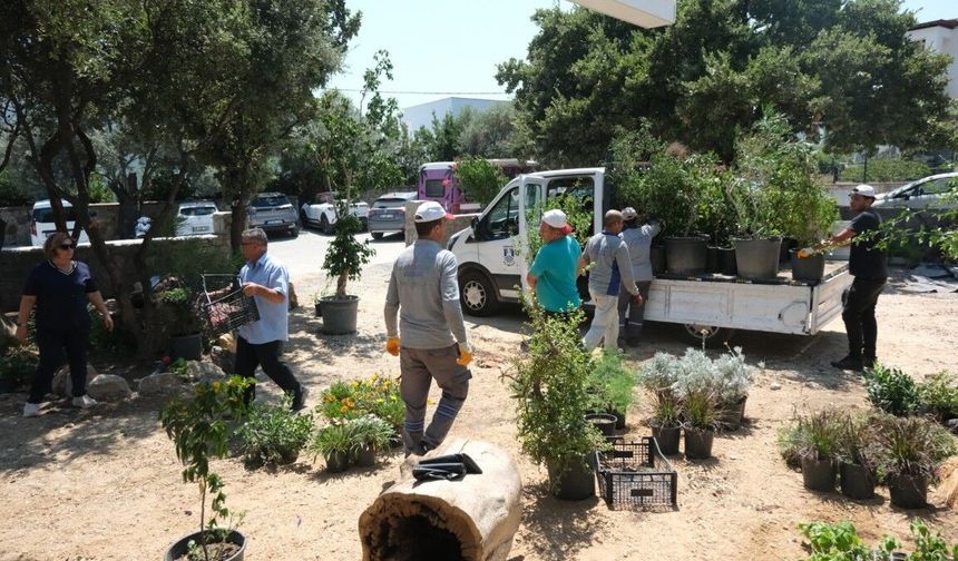 Pînaraltı Emekli Kafe Açılışa Hazırlanıyor