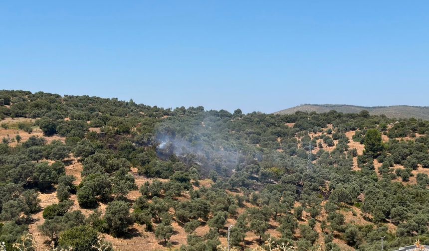 Bodrum Modern Evleri Yakınındaki Yangın Kontrol Altına Alındı