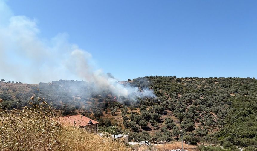 Bodrum Modern Evleri'nde Duman Alarmı: İtfaiye Ekiplerinin Müdahalesi Sürüyor