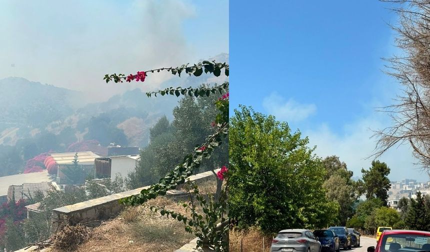 Bodrum Gümüşlük’te Alevler Yükseldi