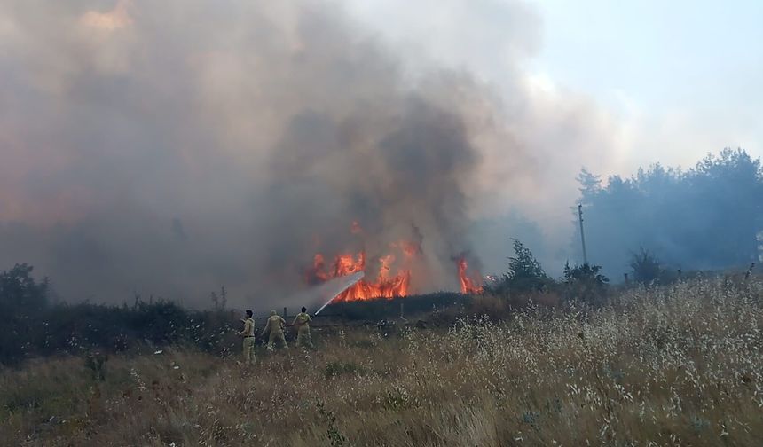 Muğla’da Ziraat Alanında Başlayan Yangın Ormana Sıçradı