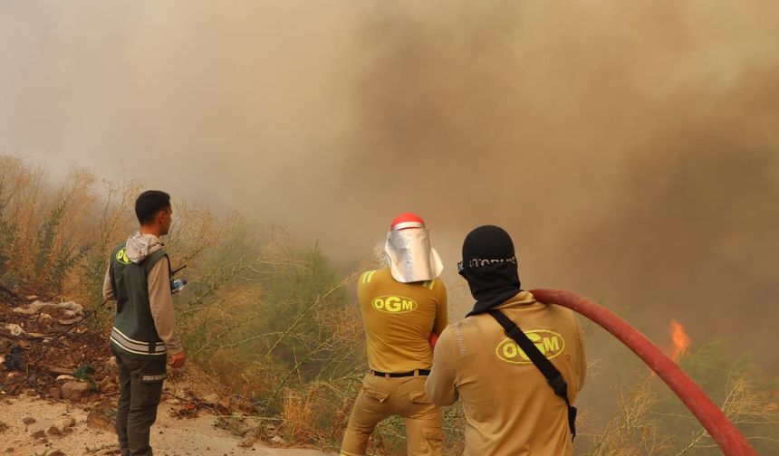 Alevlerin Yolu Aşması Böyle Engellendi