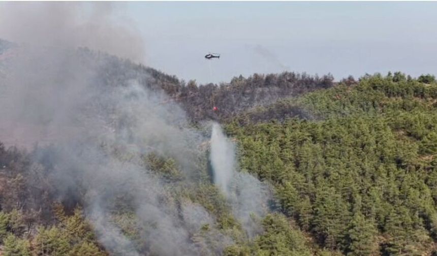 Muğla’daki İki Yangında Kritik Eşik Aşıldı