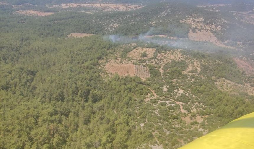 Menteşe’de Orman Yangını Büyümeden Kontrol Altına Alındı