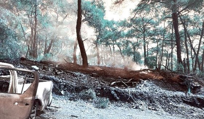 Fethiye'de Kamyonette Çıkan Yangın Ormana Sıçradı