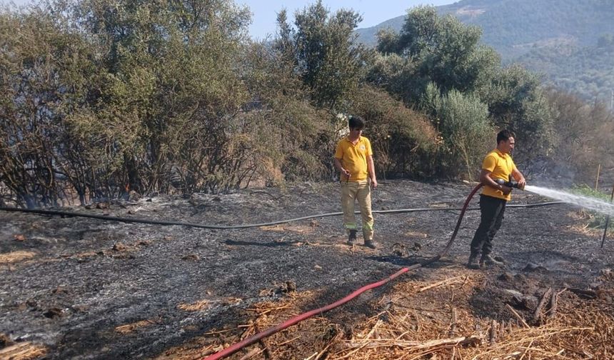 Milas’ta tarım arazisinde yangın çıktı