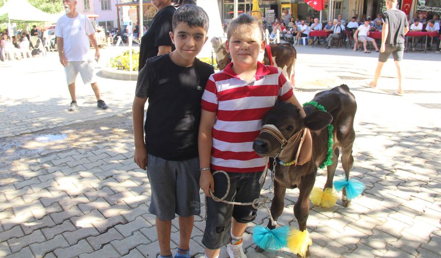 Yerkesik’te Buzağılar Güzellik İçin Podyuma Çıktı