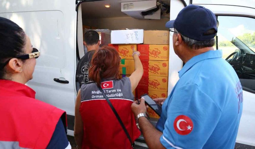 Muğla’da güvenilir gıda için yol denetimleri sürüyor