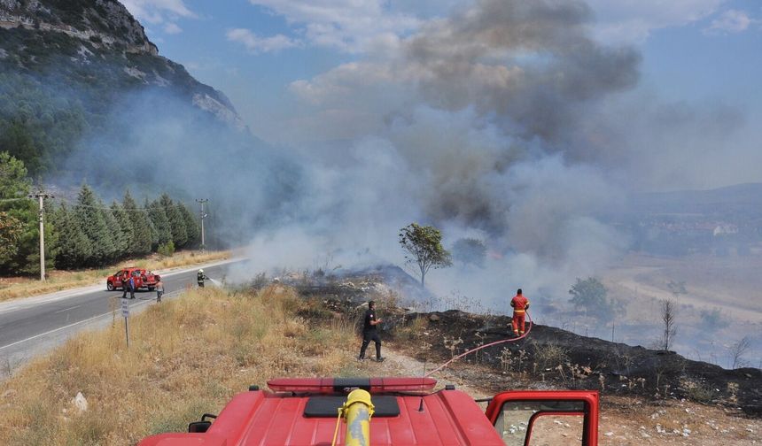 Menteşe’de ormanlık alanda yangın