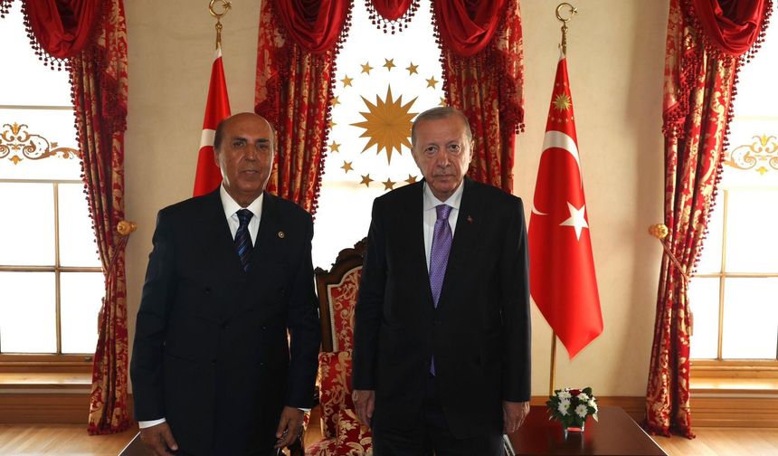 Aydın Ayaydın, Cumhurbaşkanı Erdoğan ile görüştü