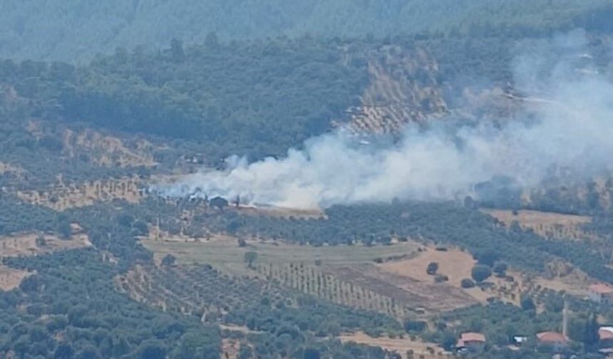 Dalaman’da orman yangını kontrol altına alındı