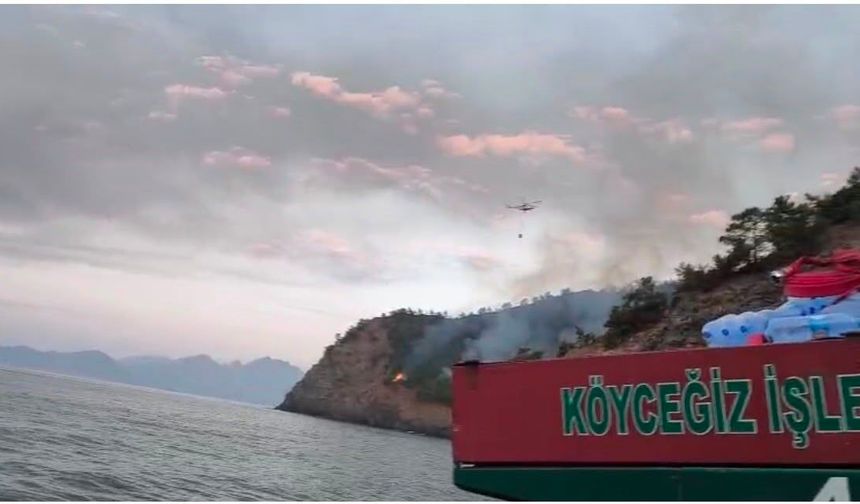 Marmaris orman yangınında 17 saatlik mücadele sürüyor
