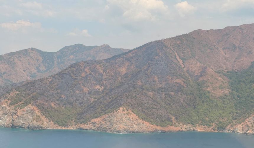 Marmaris Aksaz’daki Orman Yangını Kontrol Altında