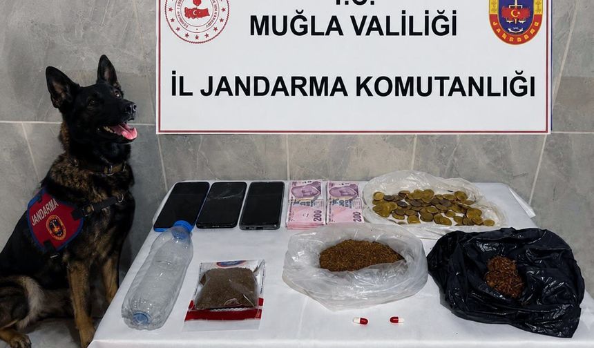 Muğla'da Kaçakçılığa Darbe: 24 Operasyon