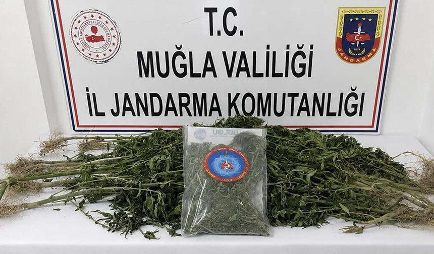 174 Şüpheli Yakalandı, 33'ü Tutuklandı