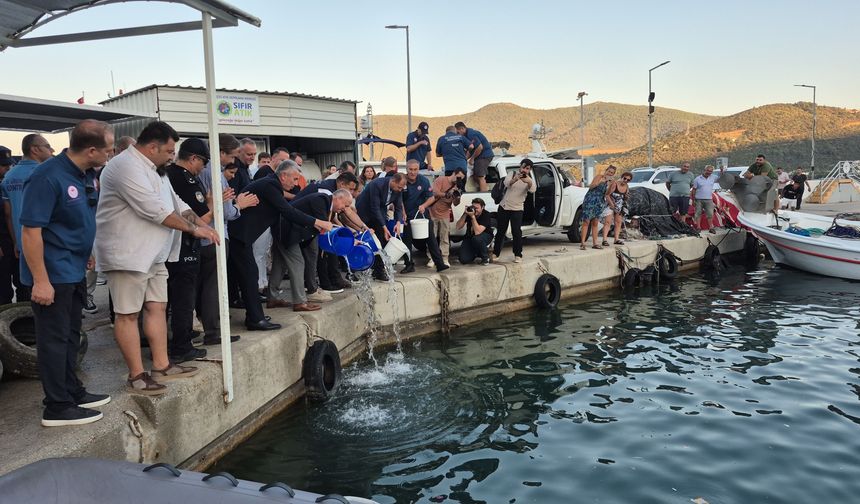 Bodrum’da “Vira Bismillah” zamanı