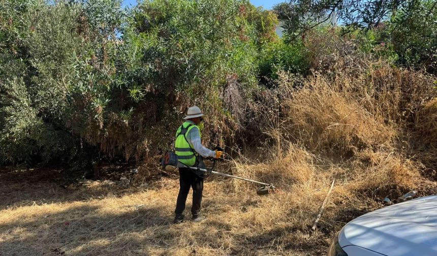 Bodrum’da yangın riskine karşı ot temizliği sürüyor