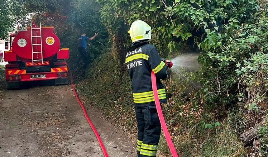 Menteşe’de Ot Yangını: 30 Metrekare Alan Yandı