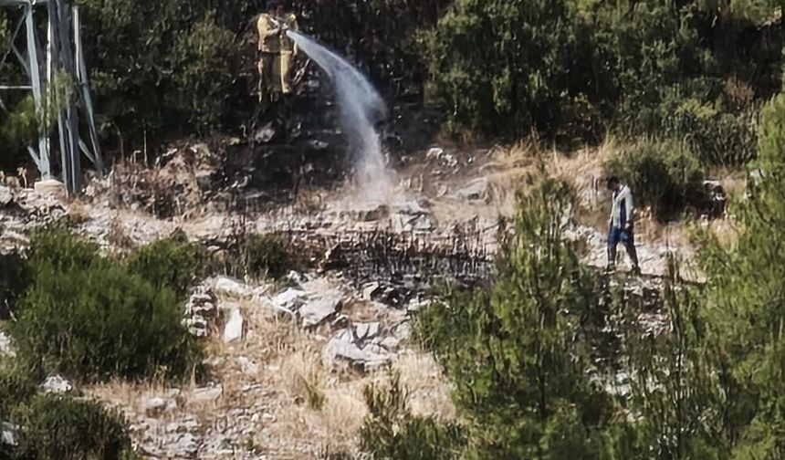 Menteşe’de Makilik Alanda Yangın