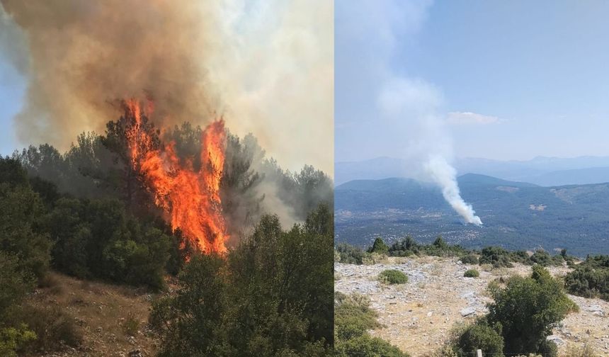 Muğla'da Orman Yangını: Ekipler Bölgeye Sevk Edildi