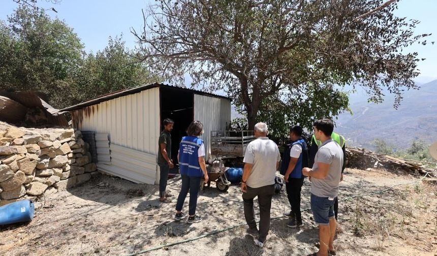 Büyükşehir, Seydikemer’de yangın yaralarını saracak