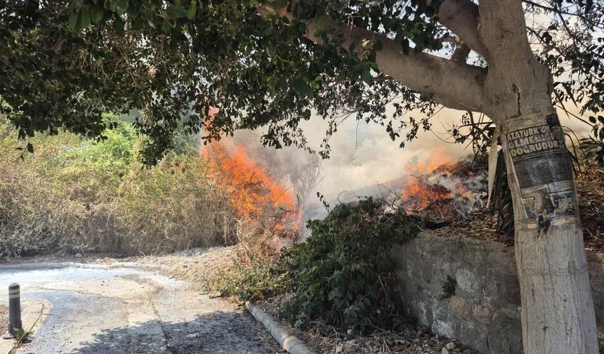 Bodrum’da site kenarında yangın paniği