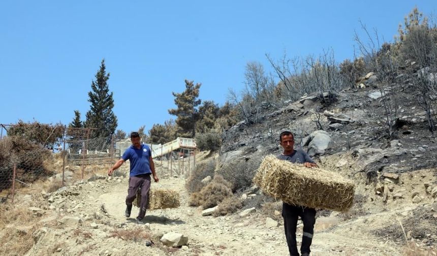 Seydikemer’de Yangından Etkilenen Üreticilere Büyükşehir Desteği