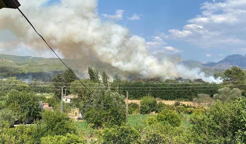 Seydikemer’de orman yangını: Havadan ve karadan müdahale başladı