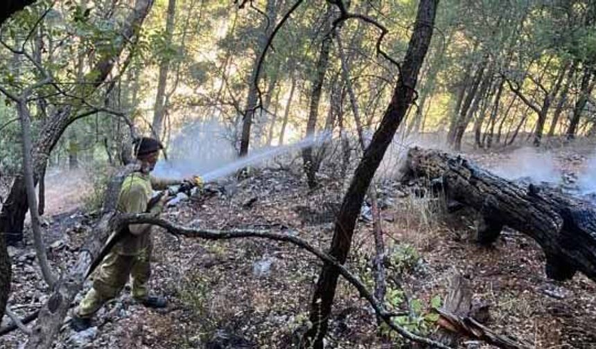 Dalaman’daki yıldırım kaynaklı yangın söndürüldü