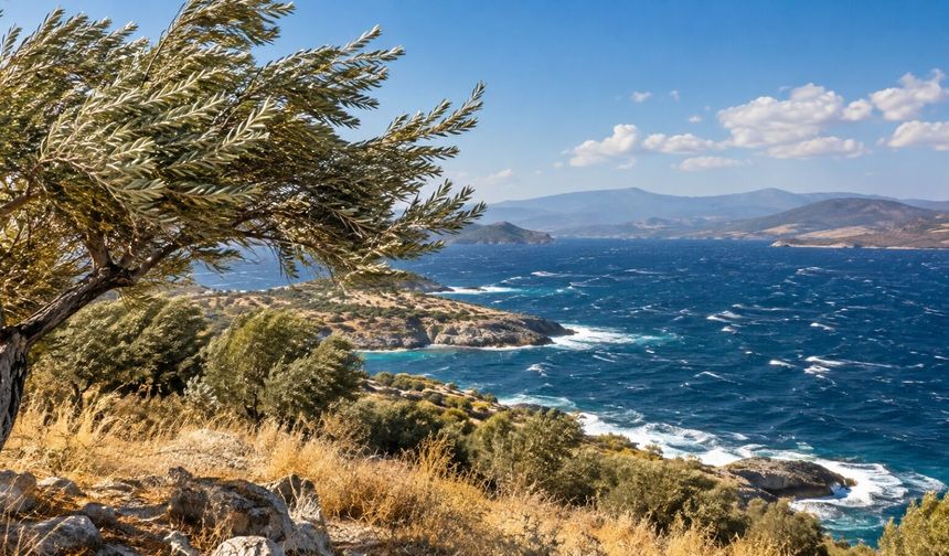 Ege’de 13 Eylül'de pazar planı yapanlar hava durumuna dikkat