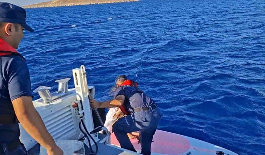 Denize açıldılar, rüzgara yenildiler