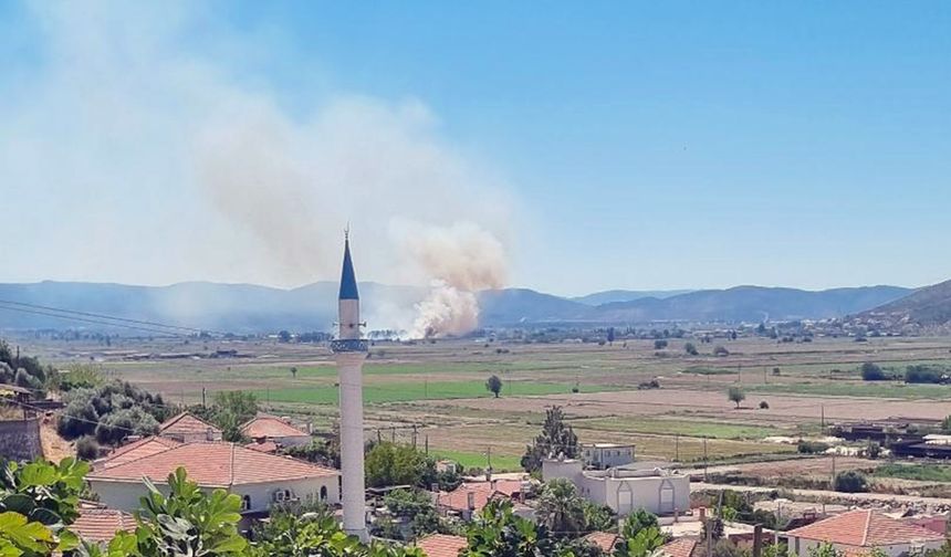 Sazlık alanda başlayan yangın kontrol altında