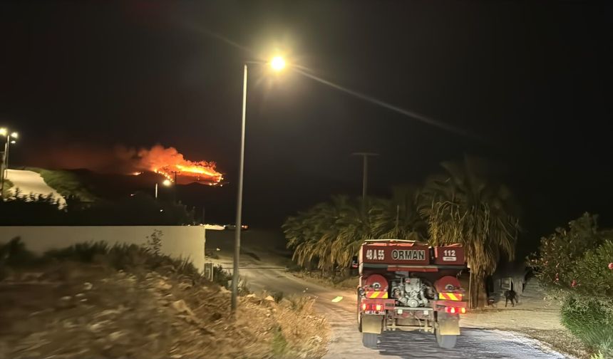 Bodrum’da otluk ve ziraat alanda yangın