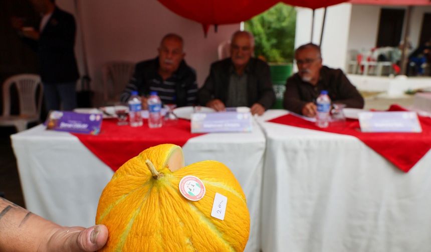 Karabağlar Yaylası’nın en güzel kavunları seçildi
