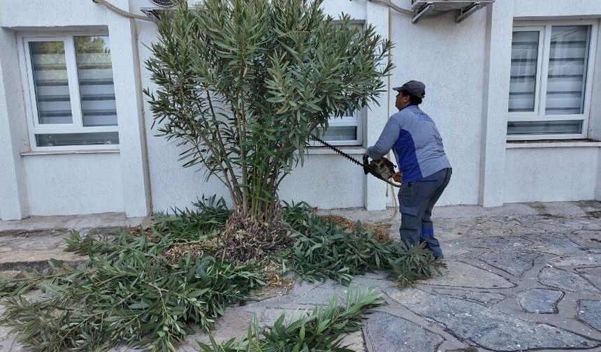 Bodrum’da okullar yeni eğitim yılına hazırlanıyor